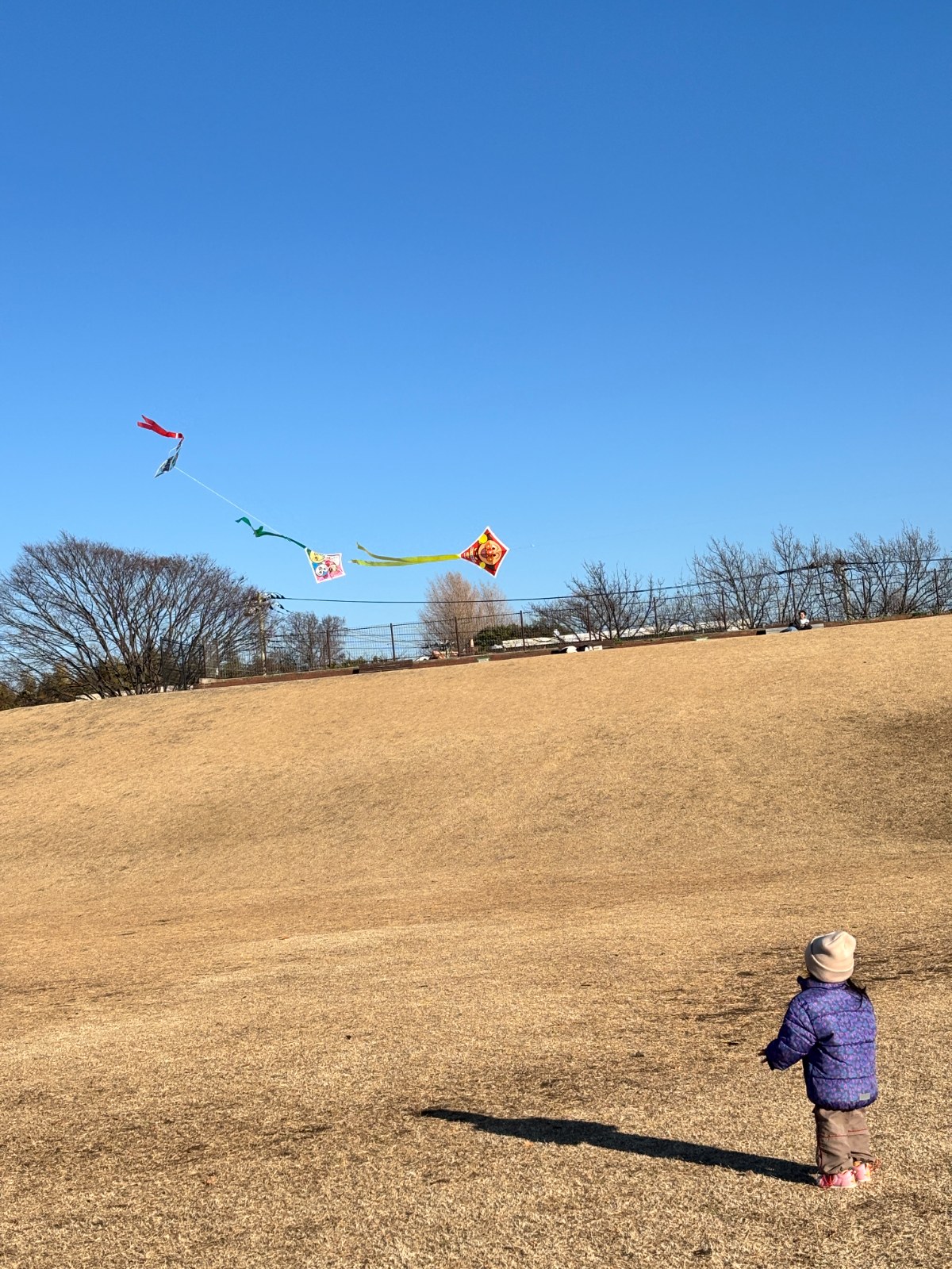 Kite flying — color palette from Samukawa, Kanagawa